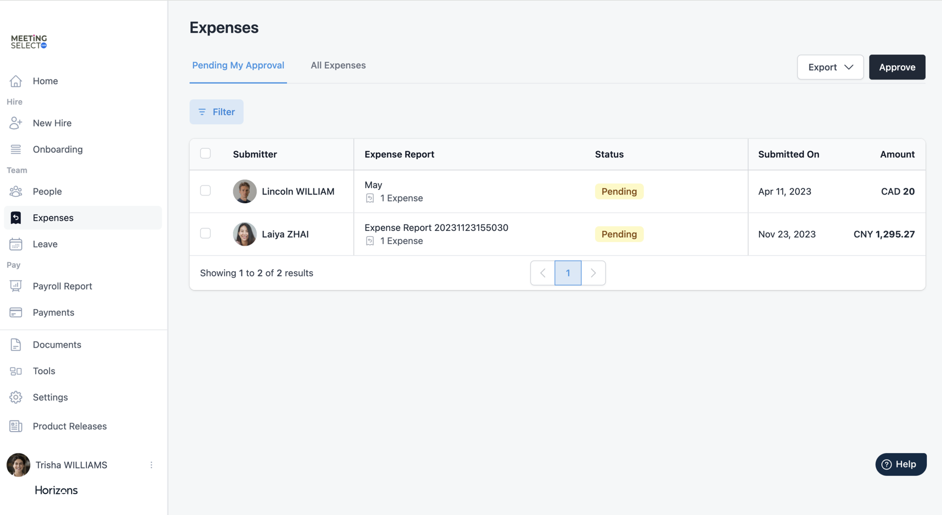 screenshot of Horizons EOR platform - expenses tab